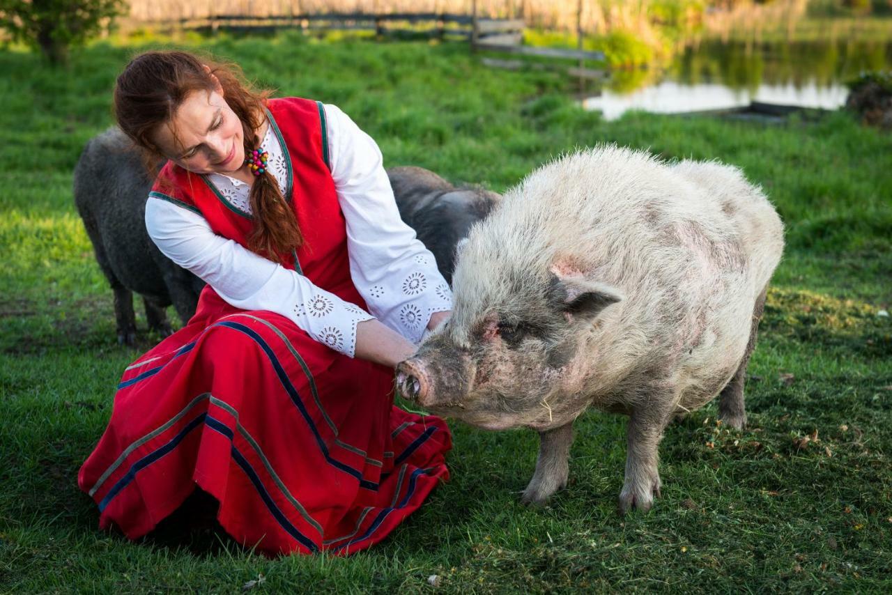 Tierstiftung Eulalia Lejlighed Babieta Eksteriør billede